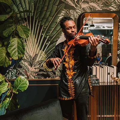 小宝科学上网全攻略：从下载安装到高效使用的实用指南